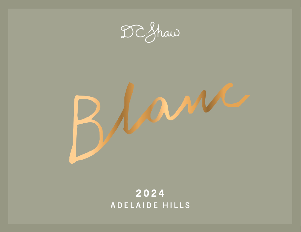 BLANC HILLS COLLECTION 2024 - NOVEMBER 5 DISPATCH